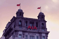 公司签约深圳市智诚保险经纪有限公司网站建设项目