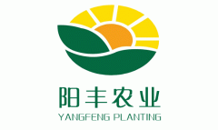 公司签约邯郸阳丰农业公司网站建设项目